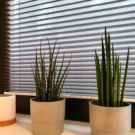 Suiteable Living - #3 Klaus Der Kleine